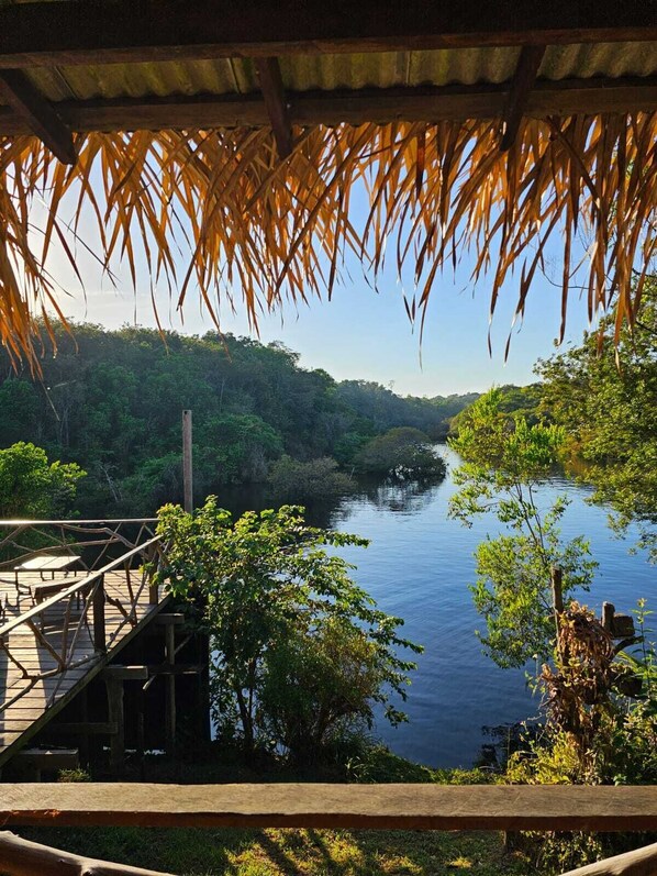 Vue depuis l’hébergement