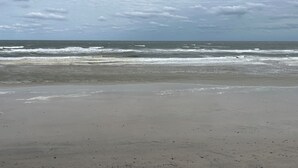 Une plage avec un rivage sablonneux et des vagues.