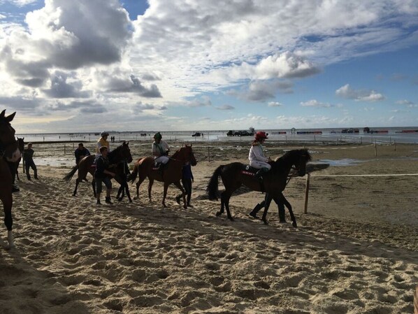 Strand