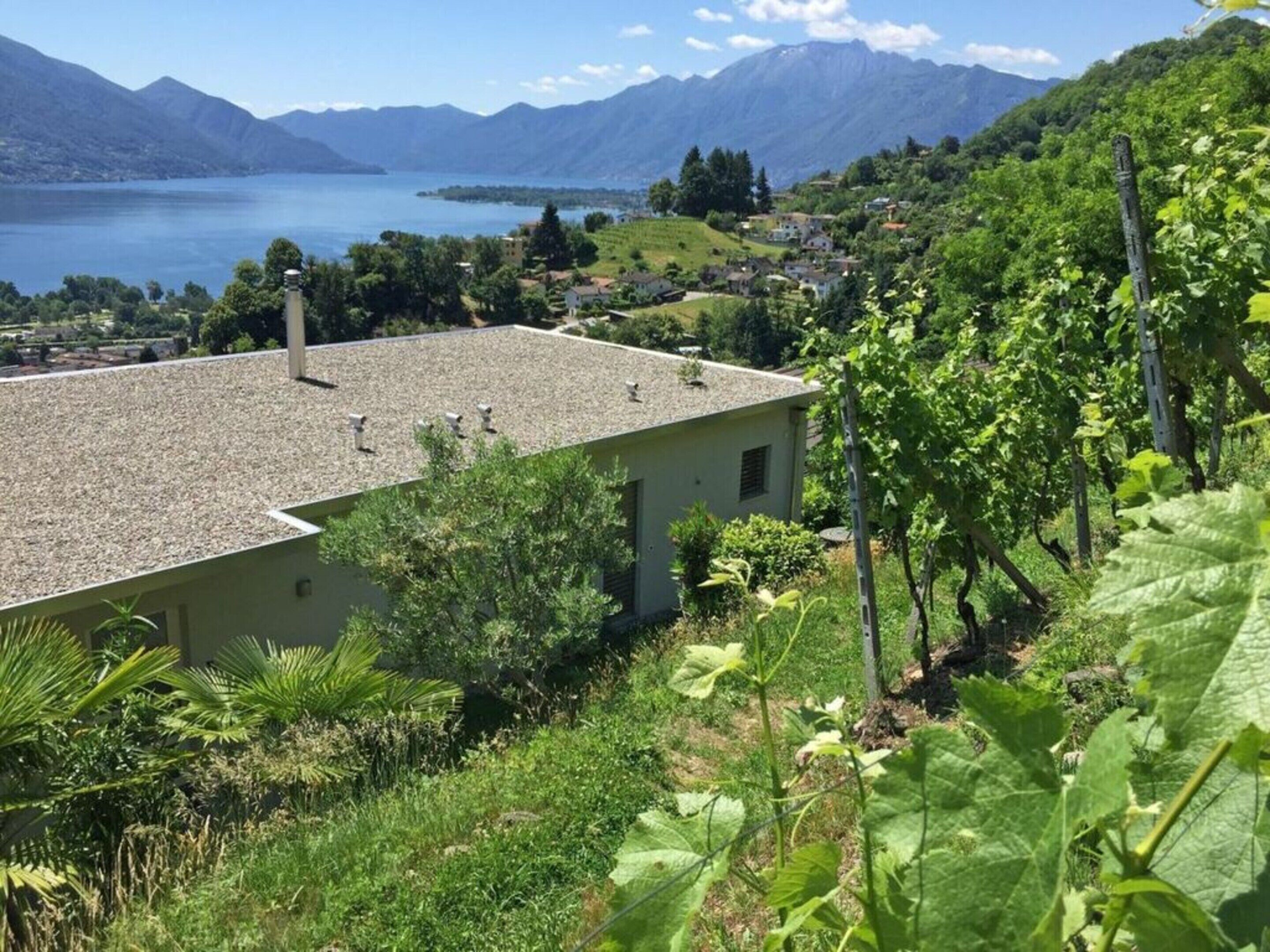 獨棟房屋 | 外觀