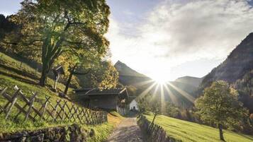 House | Property grounds