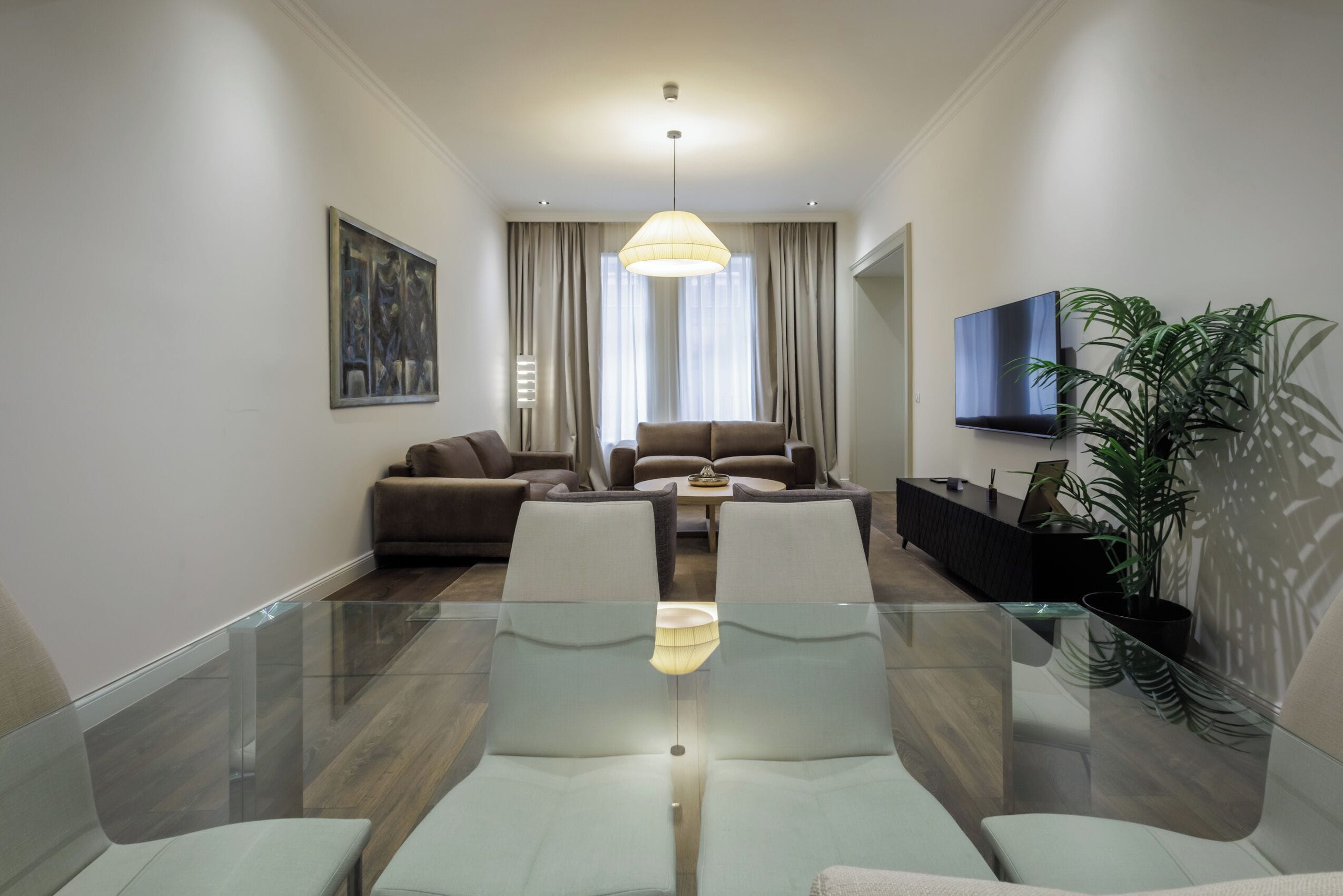 A modern living room with a glass dining table, sofas, a TV, and a large plant.