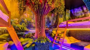 A vibrant indoor garden with a wooden bench and a ladder. - Modern Paradise on Windsor Cay: Luxurious 8BD Home (Clermont)