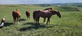 Spotless studio suite on the Coulees!