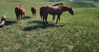 Spotless studio suite on the Coulees!
