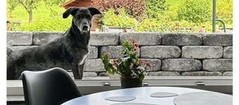 Mulli's Ferienwohnung Eifel
