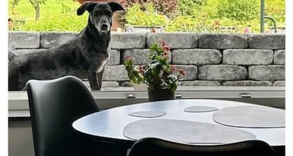Mulli's Ferienwohnung Eifel