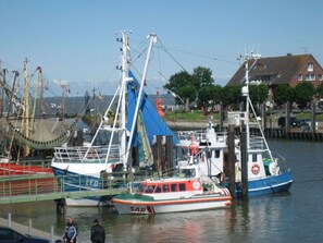 Marina - Eul F5 With Winter Garden (Butjadingen)