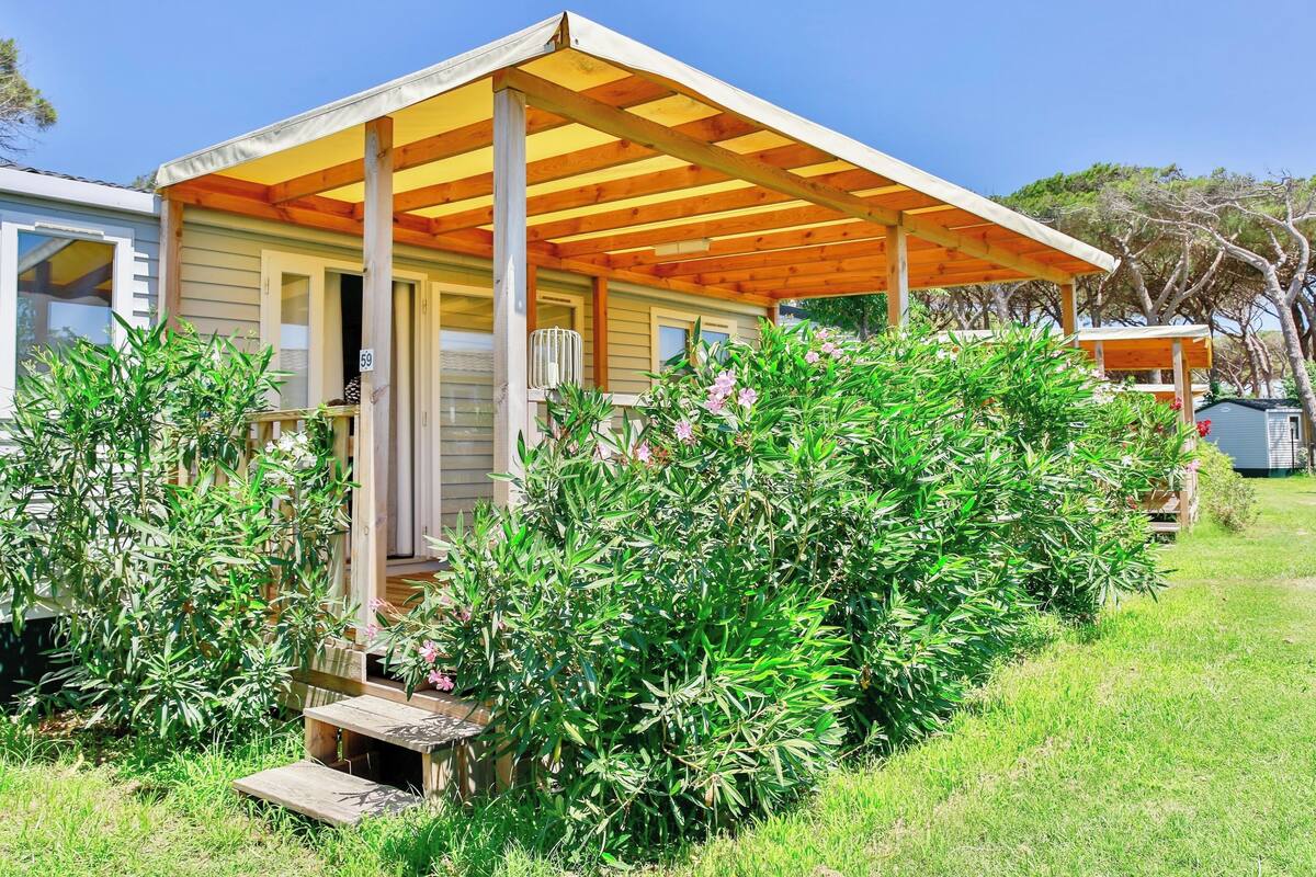 Une maison de plain-pied dotée d’un porche abrité, entourée d’une végétation luxuriante et d’un petit jardin.