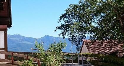 Stettner Lake in Maderhof