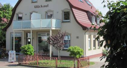 Black-headed Gull in Haus Gluckauf