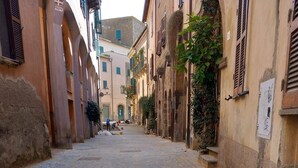 Une rue pavée bordée de bâtiments historiques, ponctuée d’étroits passages, et dépourvue de tout aménagement visible.