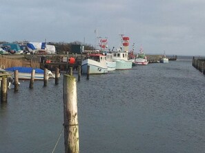 Marina - High Bank With sea View (Hohwacht)