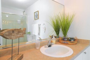 Regadera, secadora de cabello, bidet, toallas 