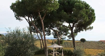 Pineta Comfortable Holiday Residence
