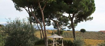 Pineta Comfortable Holiday Residence