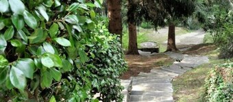 Typical, Romantic Ticino Cottage