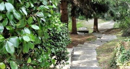 Typical, Romantic Ticino Cottage