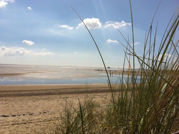 Beach - Poseidon in the Amrumer Welle (Wittduen)