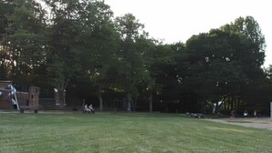 Immagine non classificata, 3 di 40, pulsante