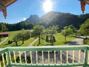 Chalet | Property grounds