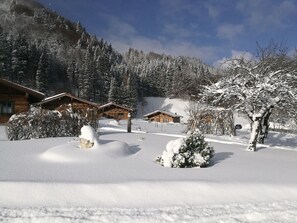 Chalet | Property grounds