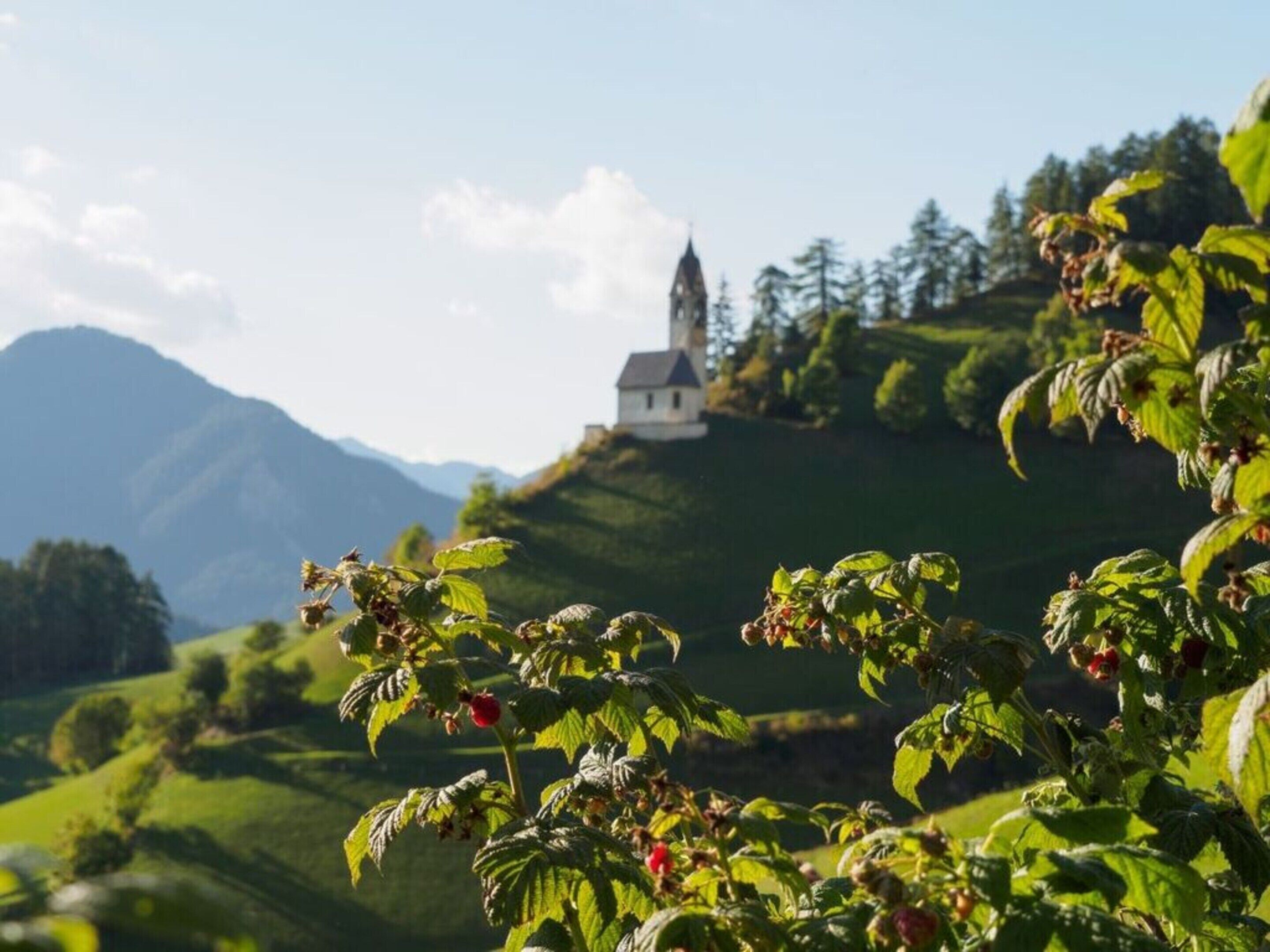 Ferienhaus | Verschiedenes