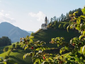Ferienhaus | Verschiedenes