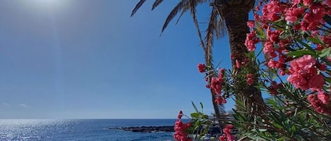 하우스 | 해변
