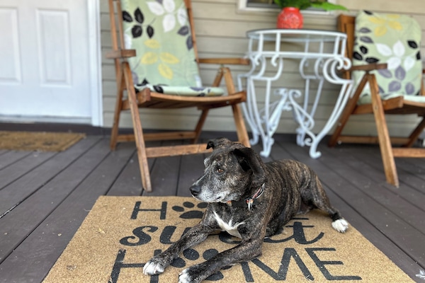 Pet friendly