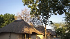A row of thatched-roof huts with a paved walkway between them. - Big 5 Toro Lodge (Kasane)