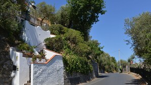 A narrow road flanked by white buildings with stone walls, a staircase, and lush greenery. - The Phoenix White house (Massa Lubrense)