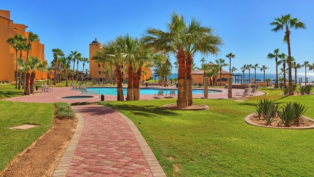 Zona de piscina en un resort, con palmeras, cielo azul despejado y vista al océano.
