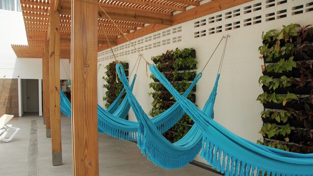 A modern interior with wooden beams, a hammock, and vertical gardens. - Zafi Hotel (San Andrés)