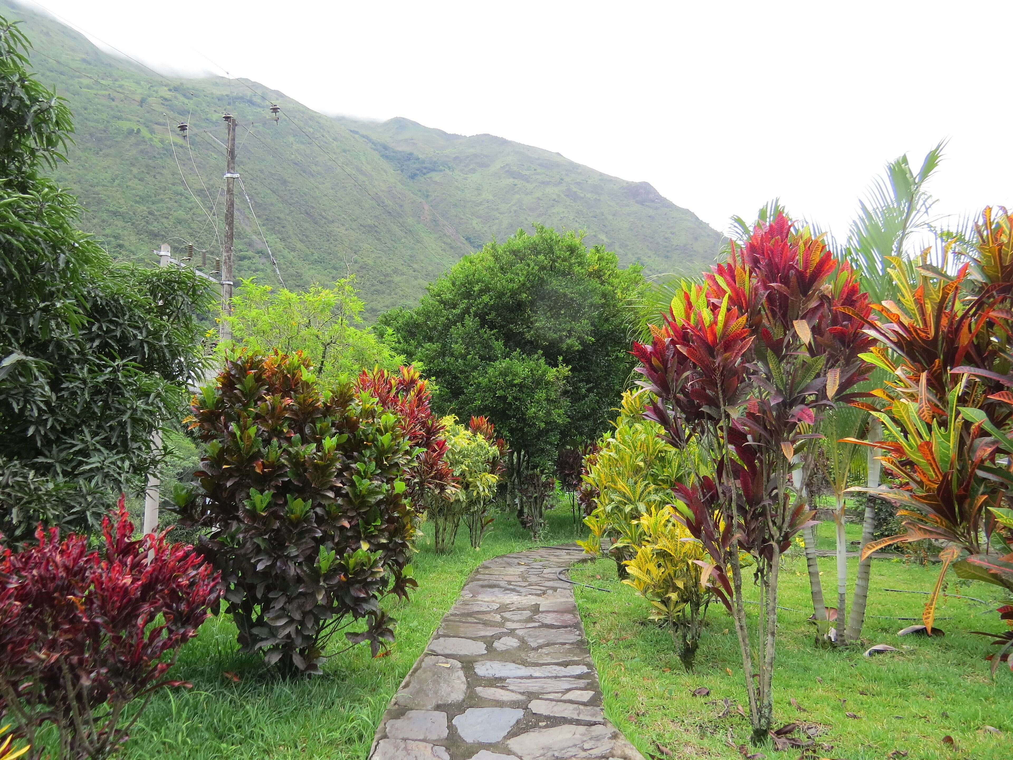 Jardines del alojamiento