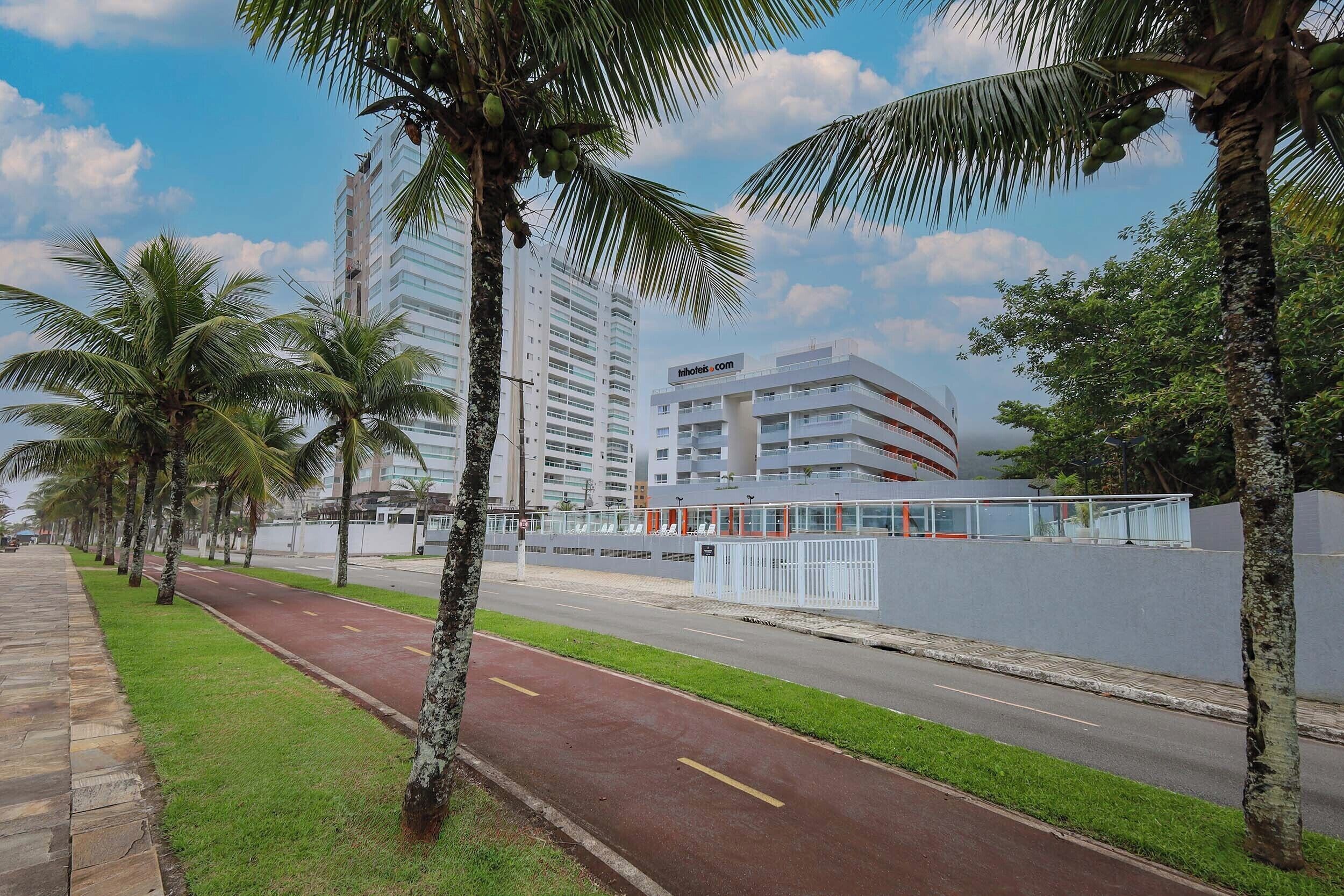 Una calle bordeada de palmeras y un edificio moderno con fachada de vidrio.