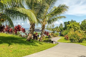 Property grounds - Charming Oceanfront 2-bedroom house in Papaikou with WiFi and AC (Papaikou)