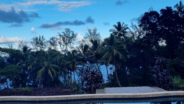 Ein Pool mit kreisförmigem Design, umgeben von Palmen und blauem Himmel.