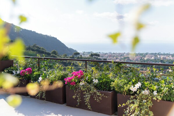 Property grounds - Luxurious Suites with Gulf of Sorrento View (Campania)