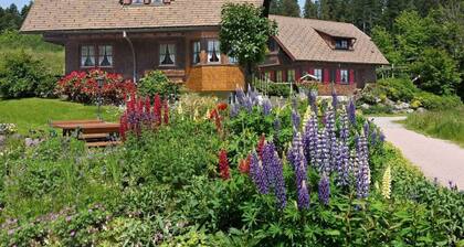 Lautertal in Landhaus Anja