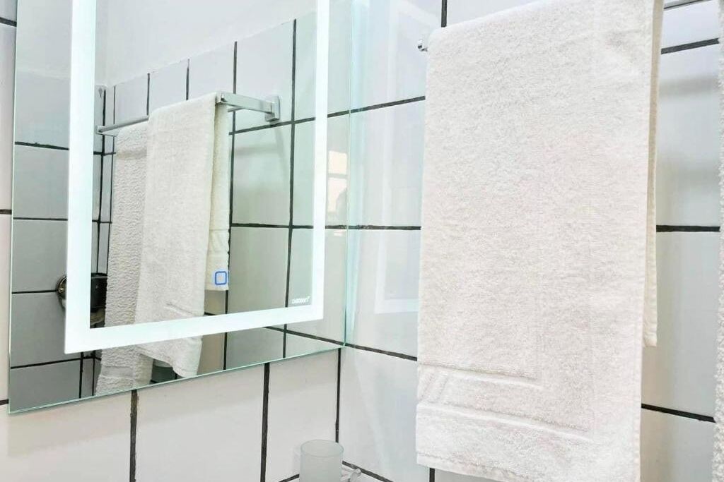 シャワー、タオル、トイレットペーパー