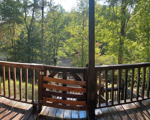 Cozy cabin for 4, 2 King size beds.  Porch with view of lake. Full kitchen.