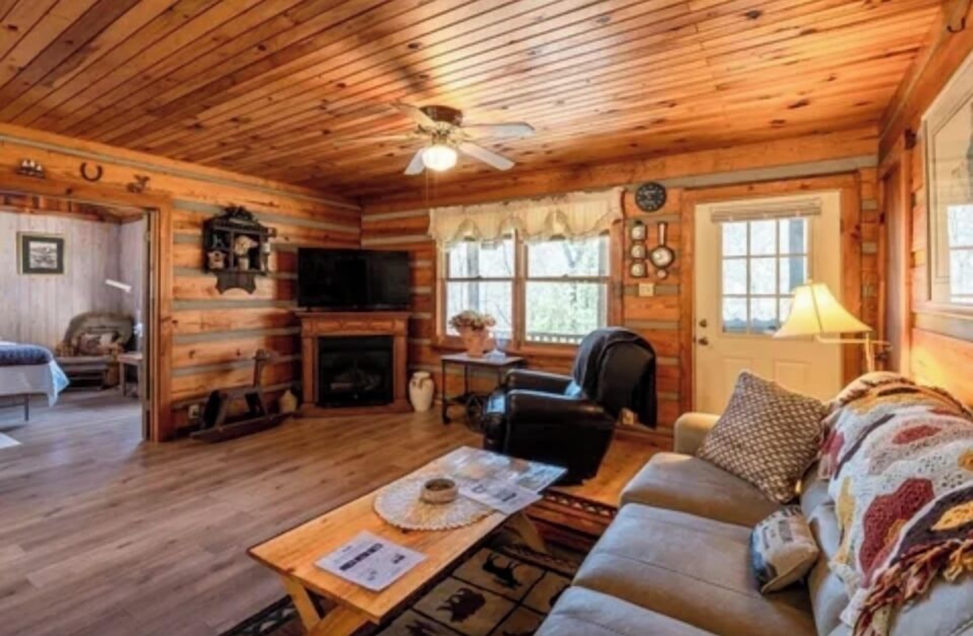 Smart TV, fireplace, books