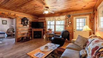 Smart TV, fireplace, books