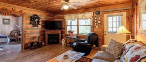 Smart TV, fireplace, books