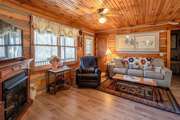 TV connectée, cheminée, livres