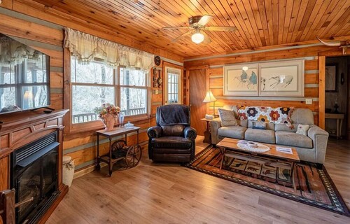 Cozy cabin for 4, 2 King size beds.  Porch with view of lake. Full kitchen.