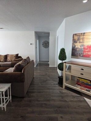 Smart TV, fireplace, books