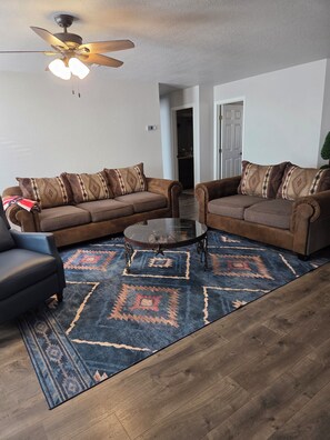 Smart TV, fireplace, books