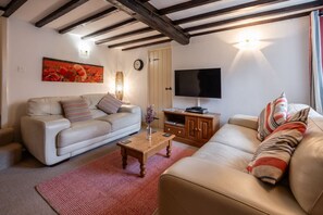 Télévision, cheminée, lecteur de DVD